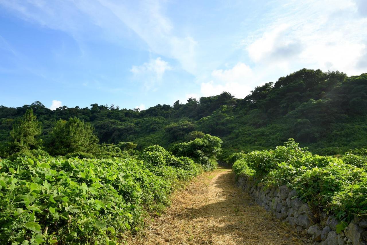 Hidden Cliff Hotel And Nature Seogwipo Eksteriør billede
